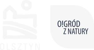 Logo miasta Olsztyna 